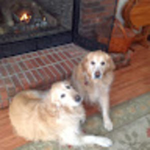 Meet your Posher, Ann